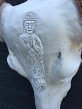 Crâne de taureau Bouddha sculpté en ivoire crème avec cornes en polystein